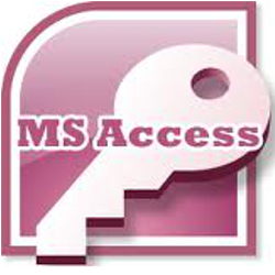 MS Access database programmer Los Angeles CA